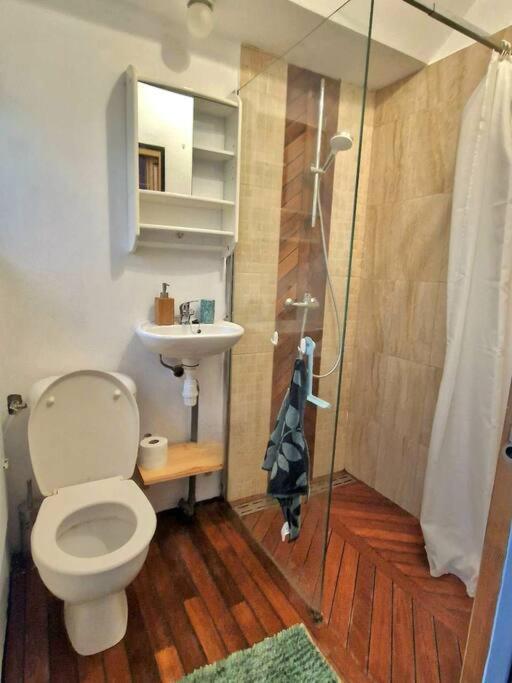 Chaleureux Appartement - Hyper Centre - Charbonnet Труа Экстерьер фото